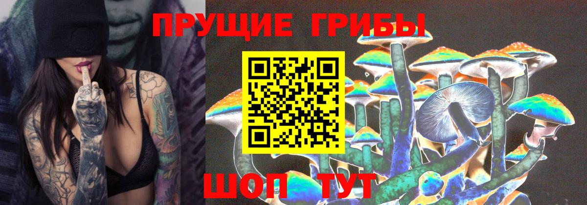 Саратов  Псилоцибиновые грибы Magic Shrooms  Вход с VPN  Псилоцибиновые грибы Psilocybine cubensis 